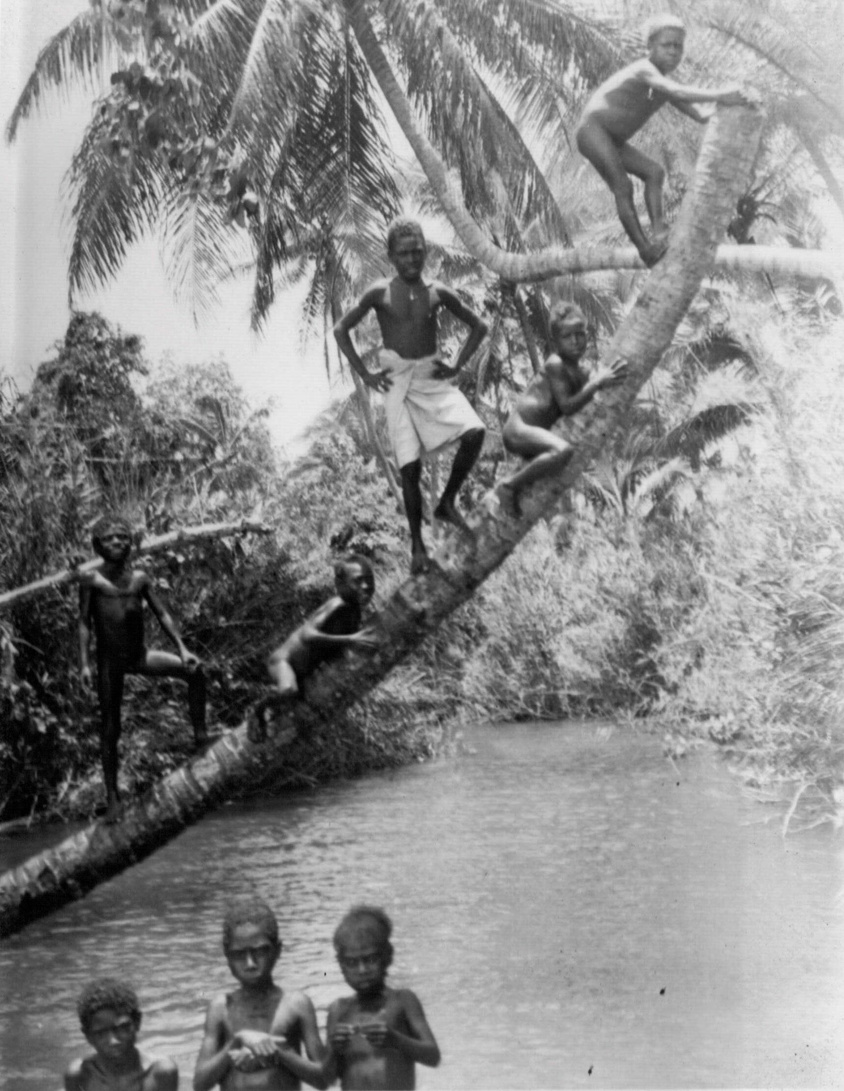 He documented what he saw in the islands as the US advanced. I believe his job was to set up communications on the islands. He was at Guadalcanal, but I'm not sure where he took this.