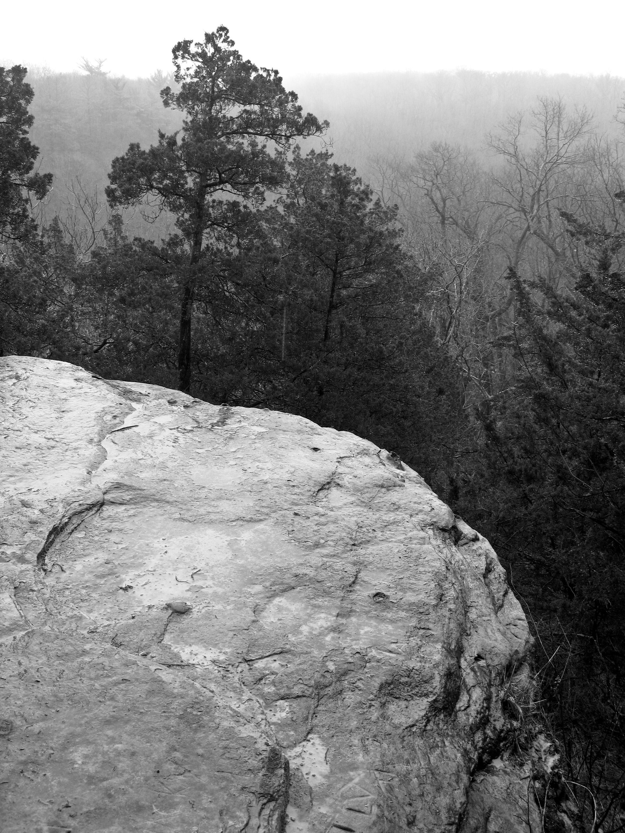 Atop Starved Rock